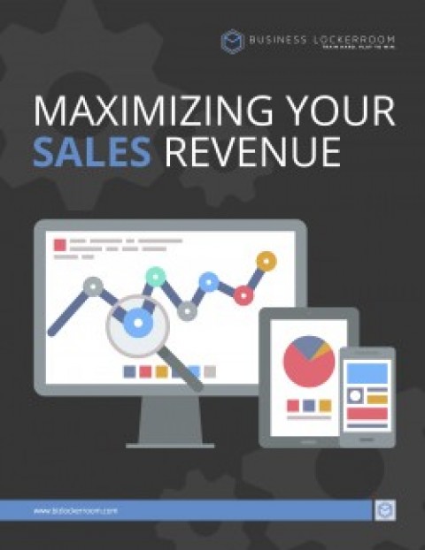 Maximize Your Sales Revenue [Download]
